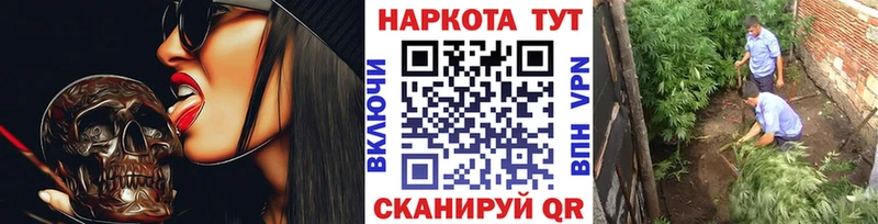 Наркотические вещества Дмитровск АМФ  ГЕРОИН  Cocaine  A PVP  Мефедрон  ГАШ  Канабис 