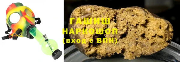 шишки Гусиноозёрск