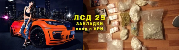 шишки Гусиноозёрск
