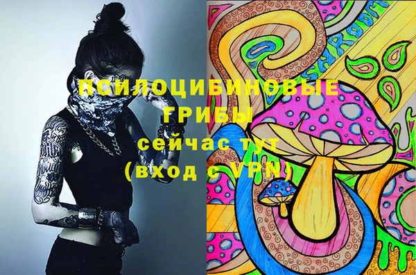 кристаллы Гусев