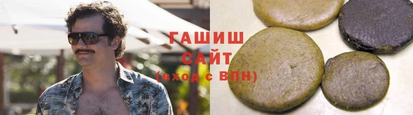 шишки Гусиноозёрск