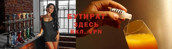 шишки Гусиноозёрск