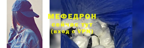 шишки Гусиноозёрск