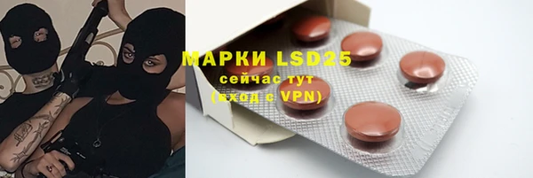 шишки Гусиноозёрск