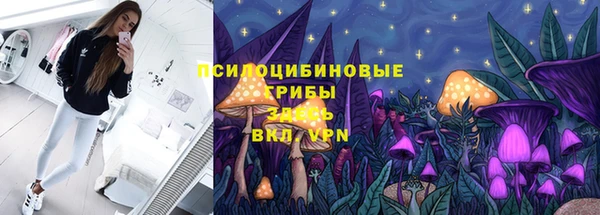 шишки Гусиноозёрск