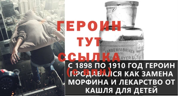 шишки Гусиноозёрск